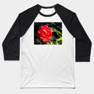 Glowing bright red rose Baseball T-Shirt